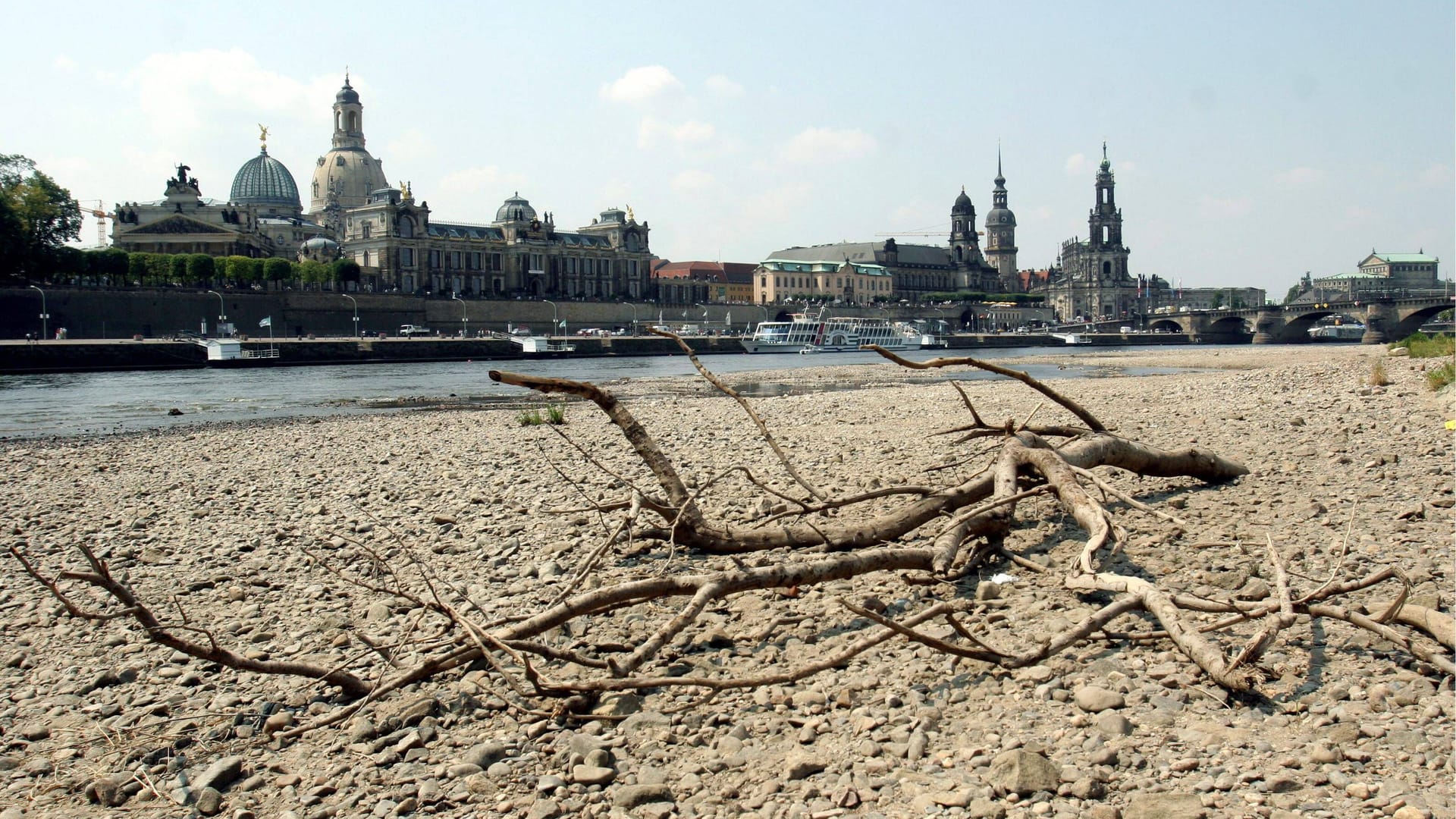 Trockenes Ufer der Elbe aufgrund anhaltender Hitze vor der historischen Altstadt in Dresden (Archivbild). Trockenes Ufer der Elbe aufgrund anhaltender Hitze vor der historischen Altstadt in Dresden (Archivbild).