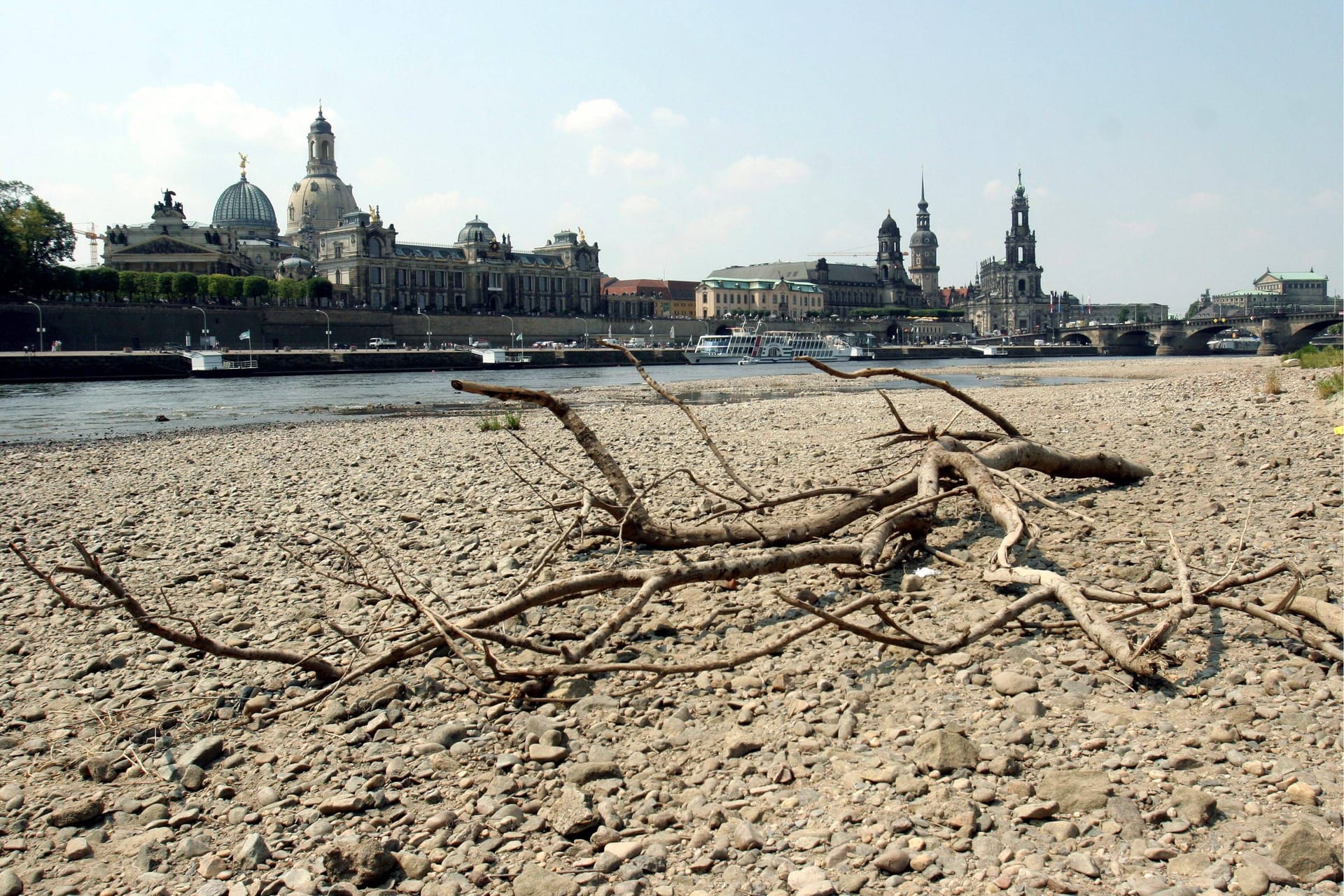Trockenes Ufer der Elbe aufgrund anhaltender Hitze vor der historischen Altstadt in Dresden (Archivbild).