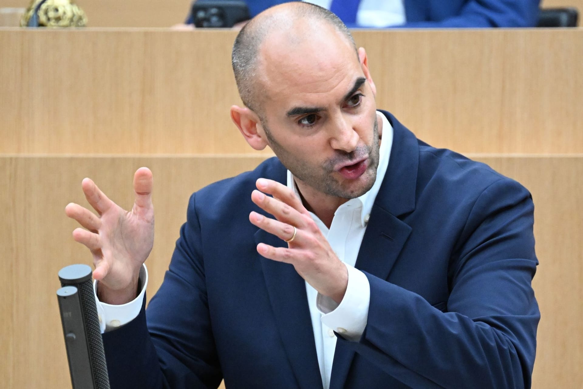 Danyal Bayaz (Bündnis 90/Die Grünen)