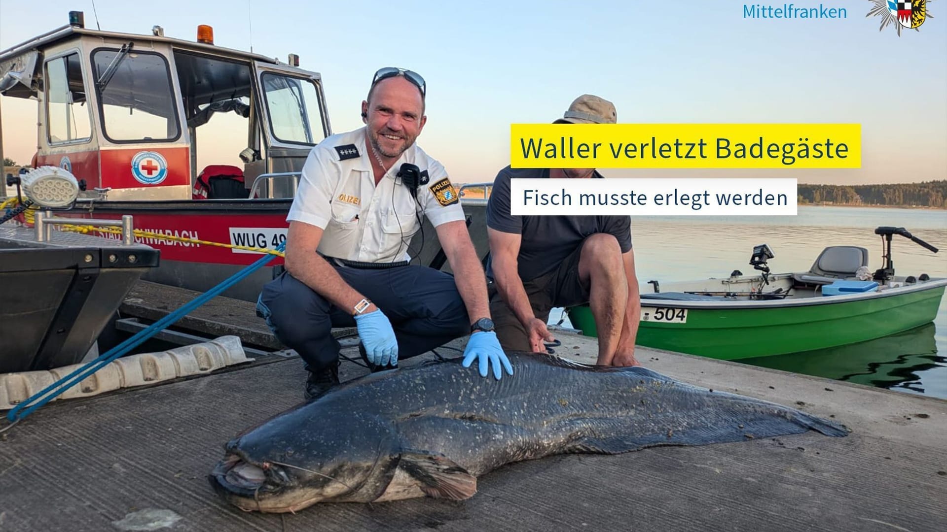 Nach Angriff auf Badegäste - Polizei erschießt Wels