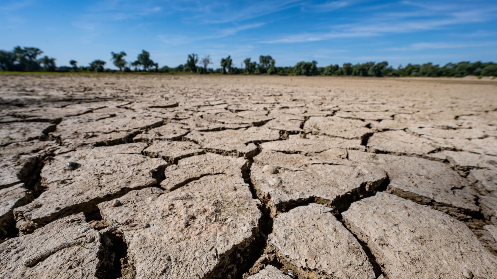 Klimawandel Klimawandel
