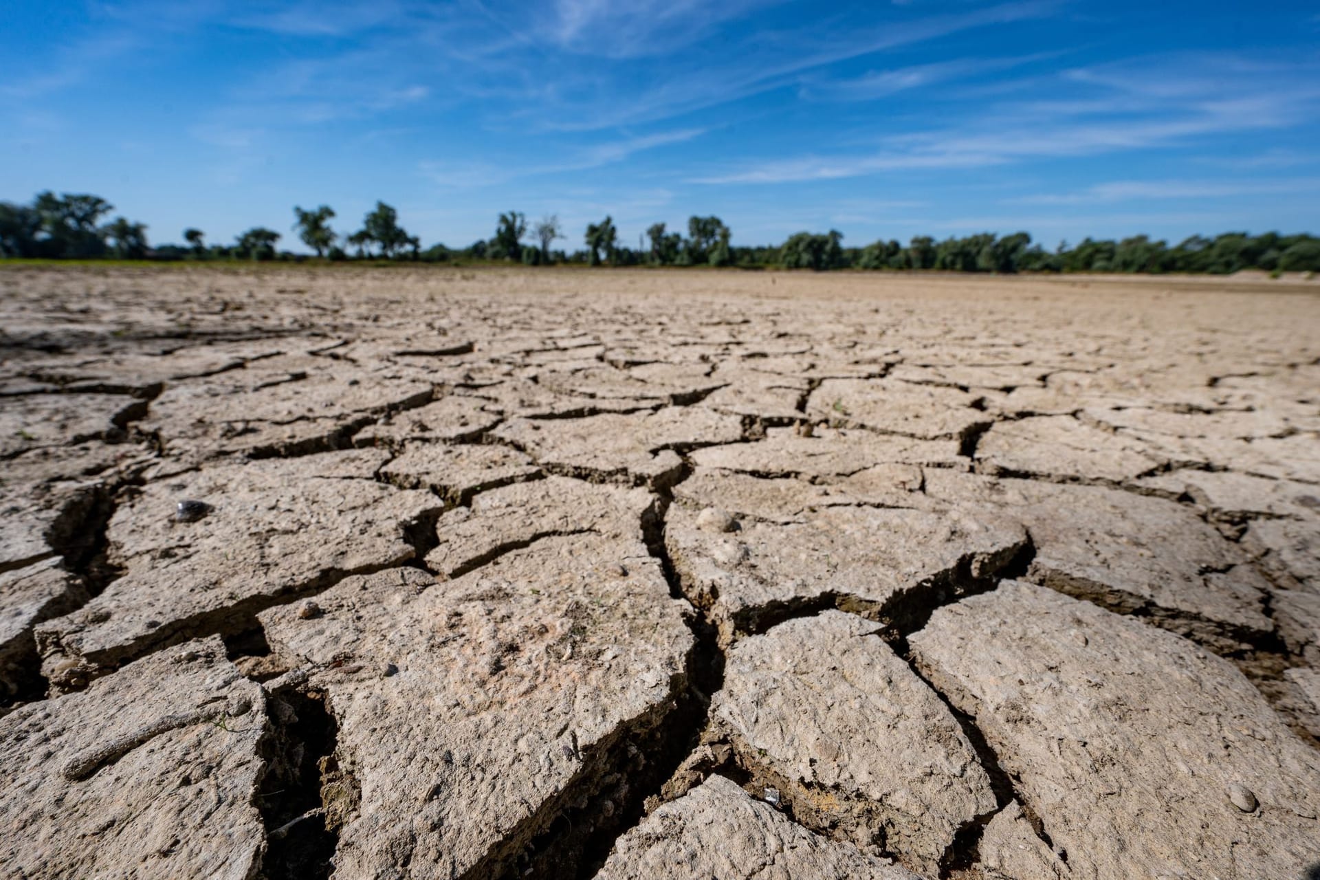Klimawandel