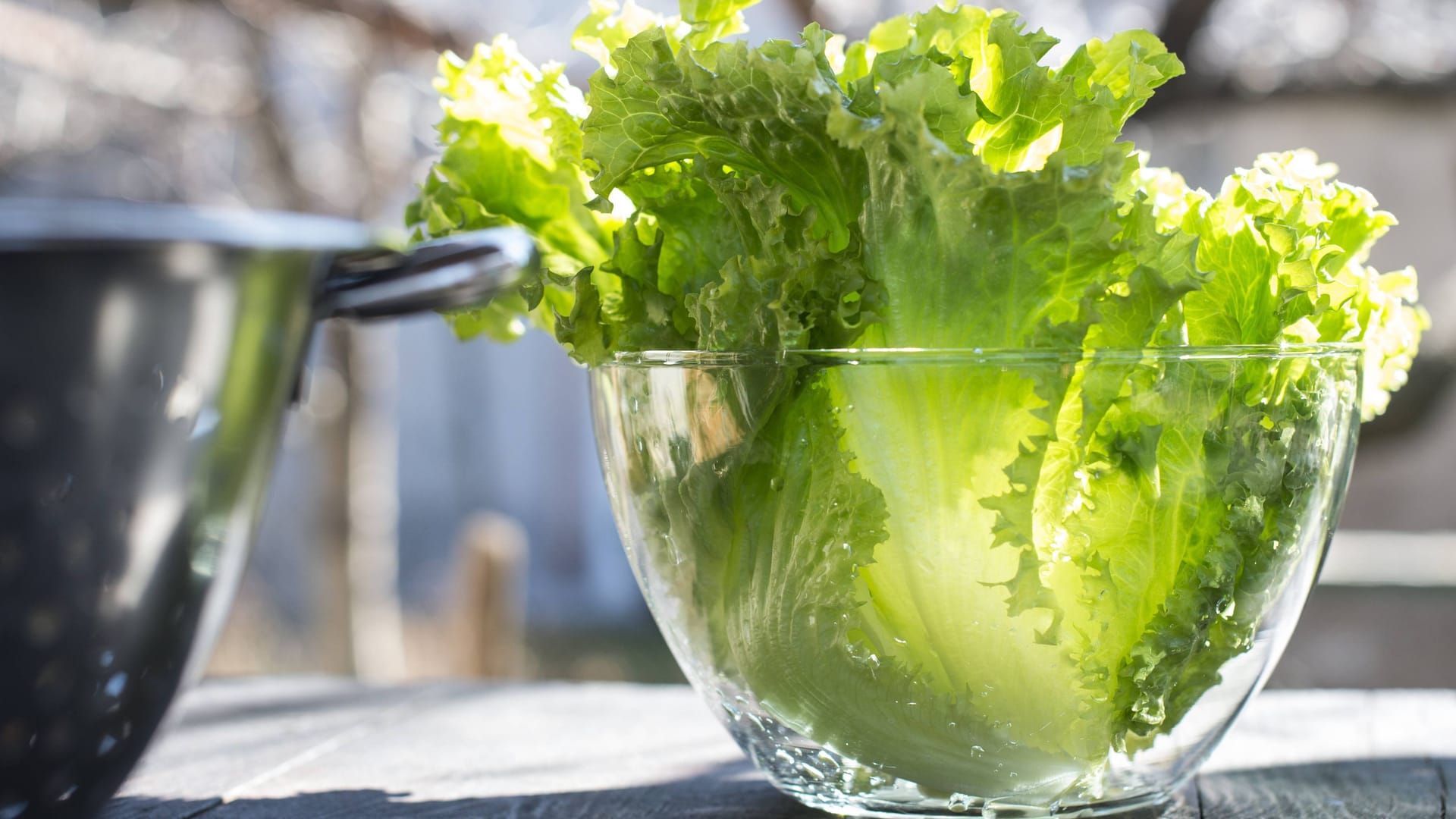 Salatblätter in einer Glasschüssel (Symbolbild): Das grüne Blatt eines Salats war Stein des Anstoßes für einen heftigen Streit. Salatblätter in einer Glasschüssel (Symbolbild): Das grüne Blatt eines Salats war Stein des Anstoßes für einen heftigen Streit.
