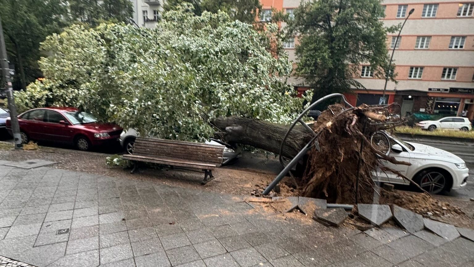 Ein durch schwere Böen entwurzelter Baum liegt auf Autos im Berliner Stadtteil Wedding.