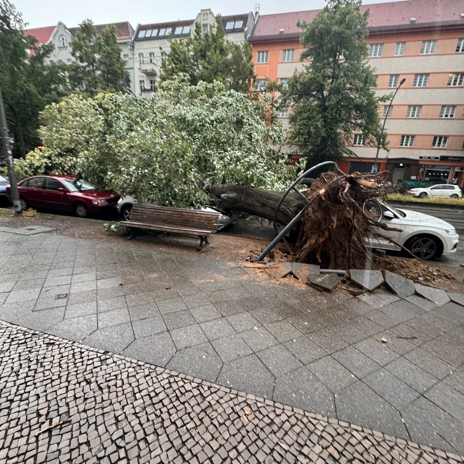 Ein durch Böen entwurzelter Baum liegt auf Autos im Berliner Stadtteil Wedding: In der Hauptstadt kam es erneut zu schweren Unwettern.