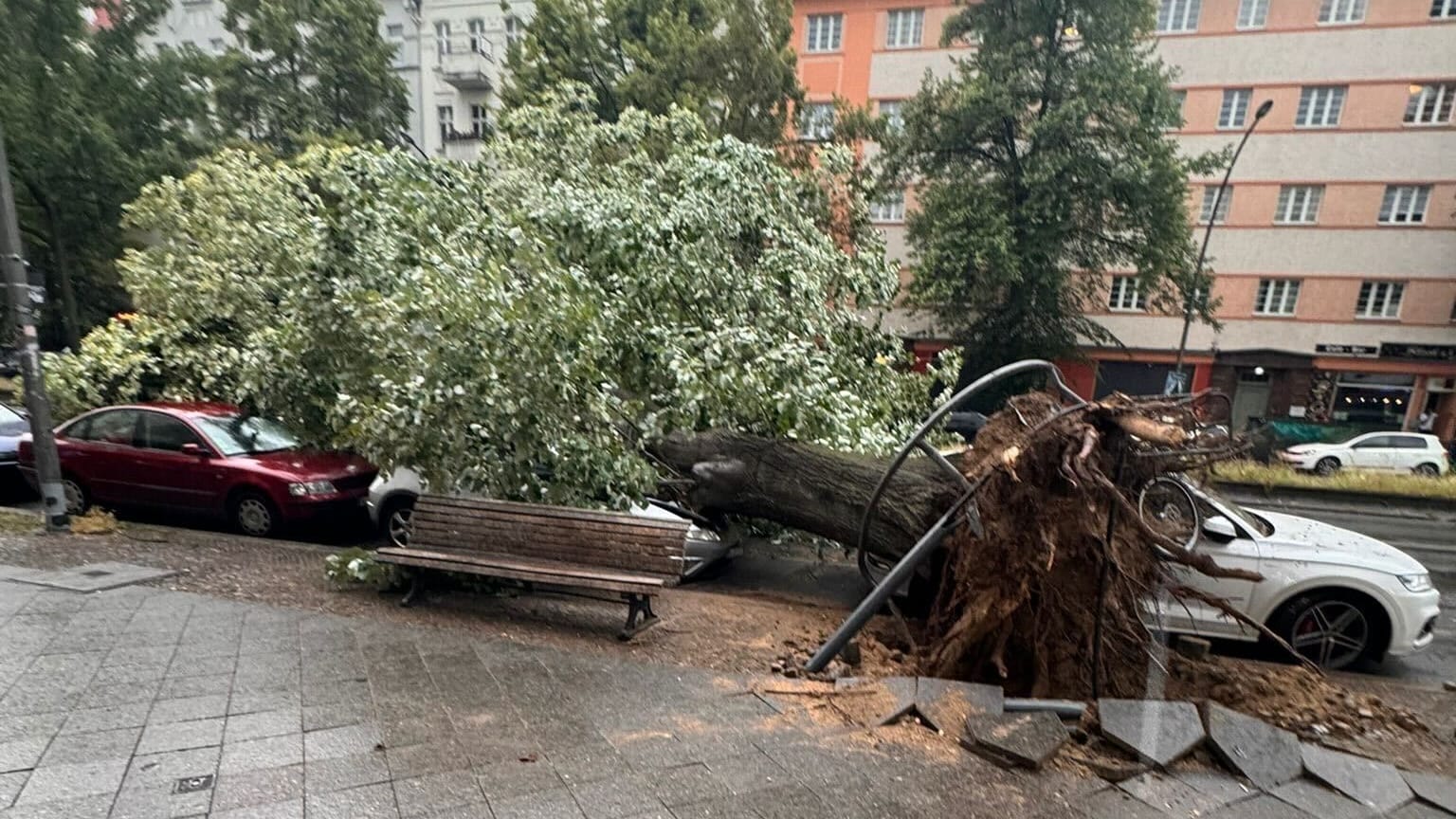 Ein durch Böen entwurzelter Baum liegt auf Autos im Berliner Stadtteil Wedding: In der Hauptstadt kam es erneut zu schweren Unwettern.