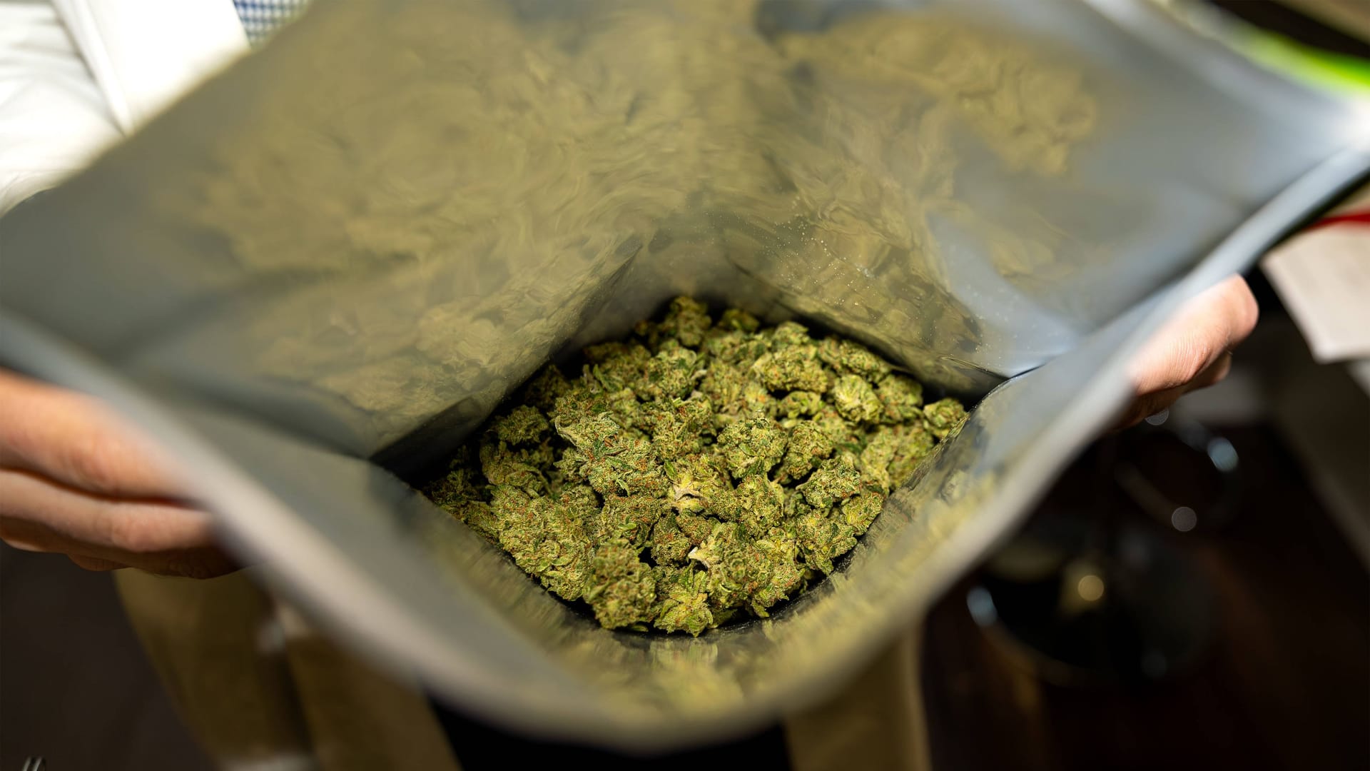 Eine geöffnete Verpackung mit getrockneten Cannabisblüten (Symbolbild). Eine geöffnete Verpackung mit getrockneten Cannabisblüten (Symbolbild).