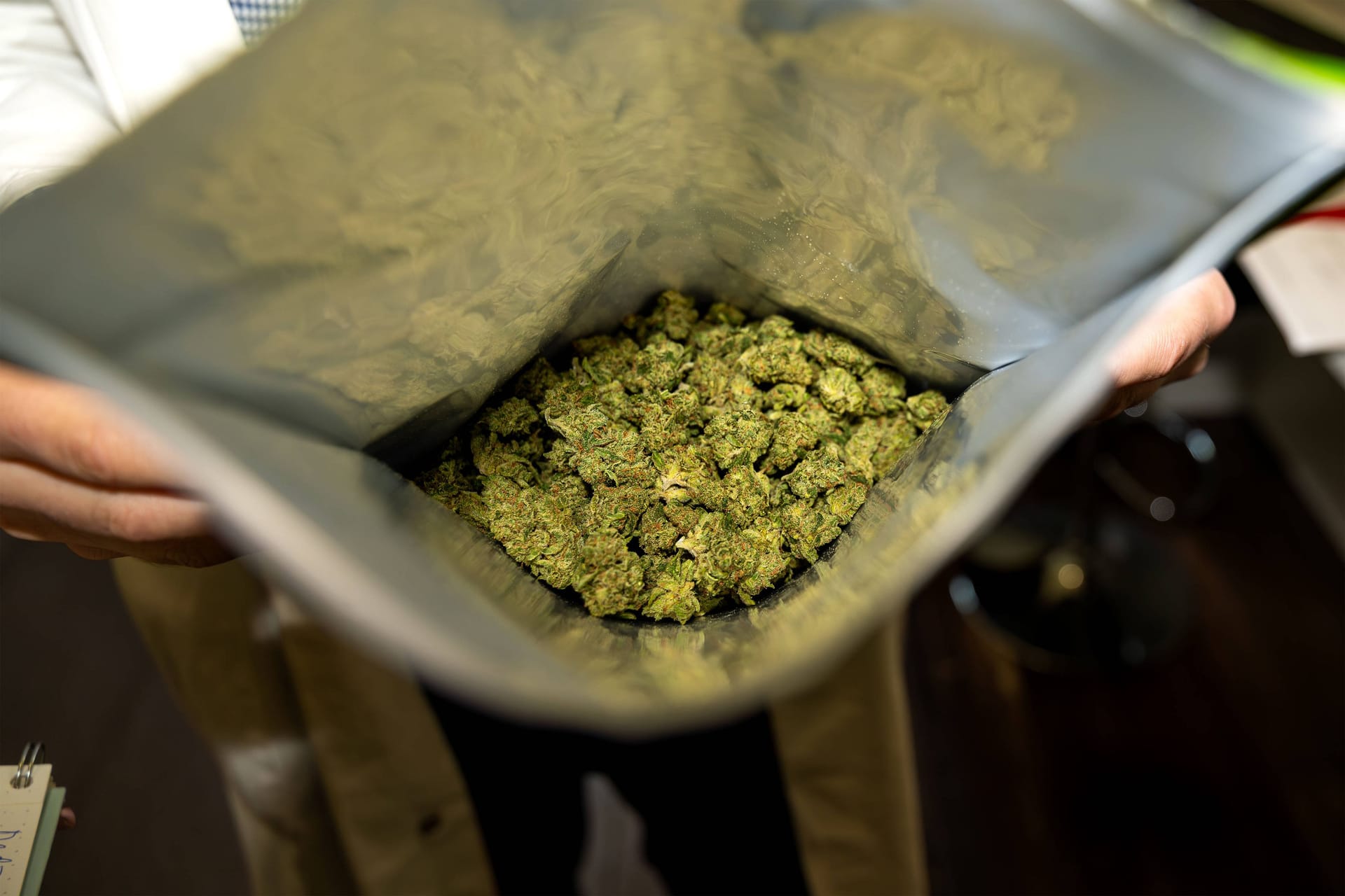 Eine geöffnete Verpackung mit getrockneten Cannabisblüten (Symbolbild).