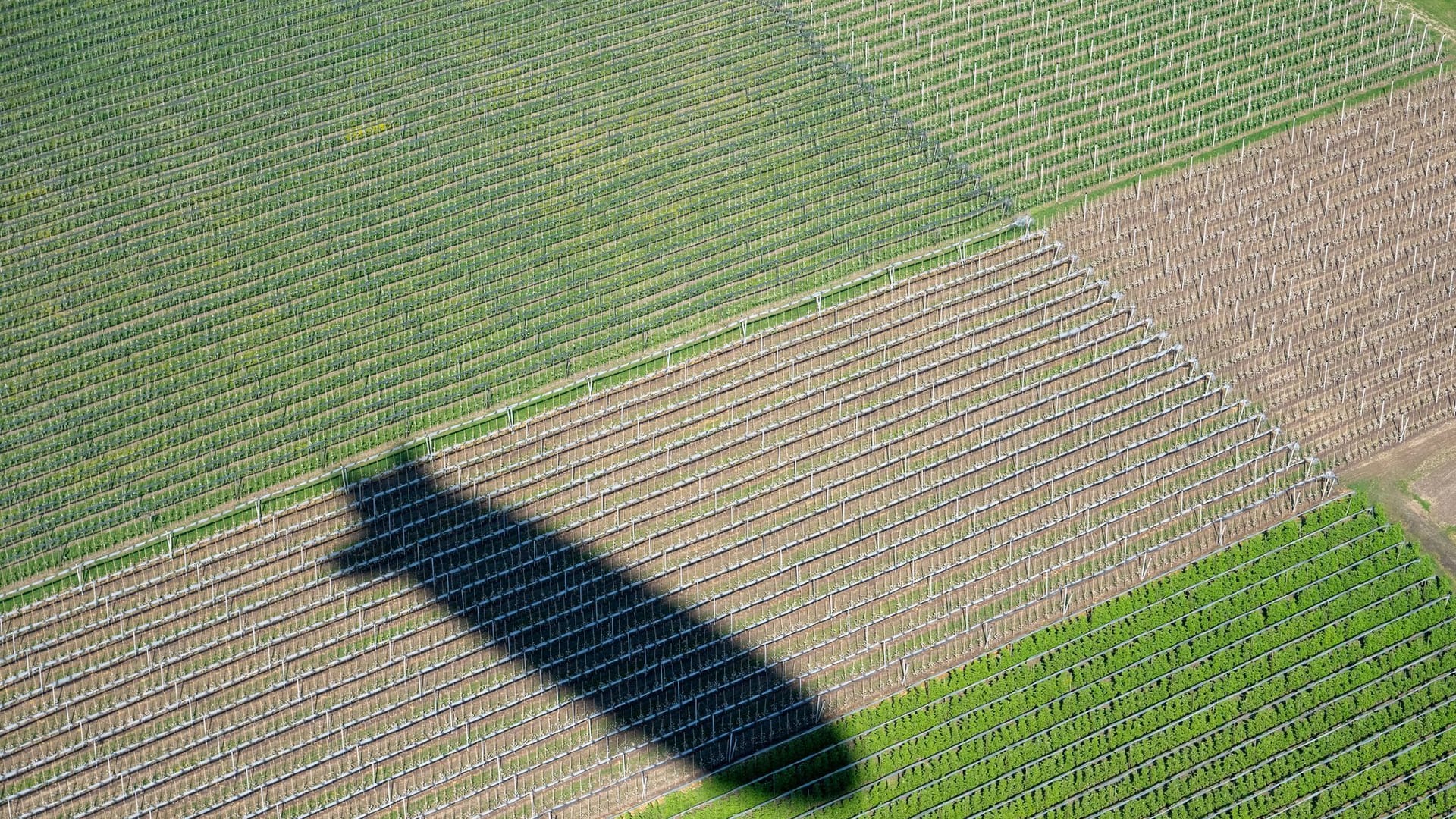 Neuer Zeppelin NT