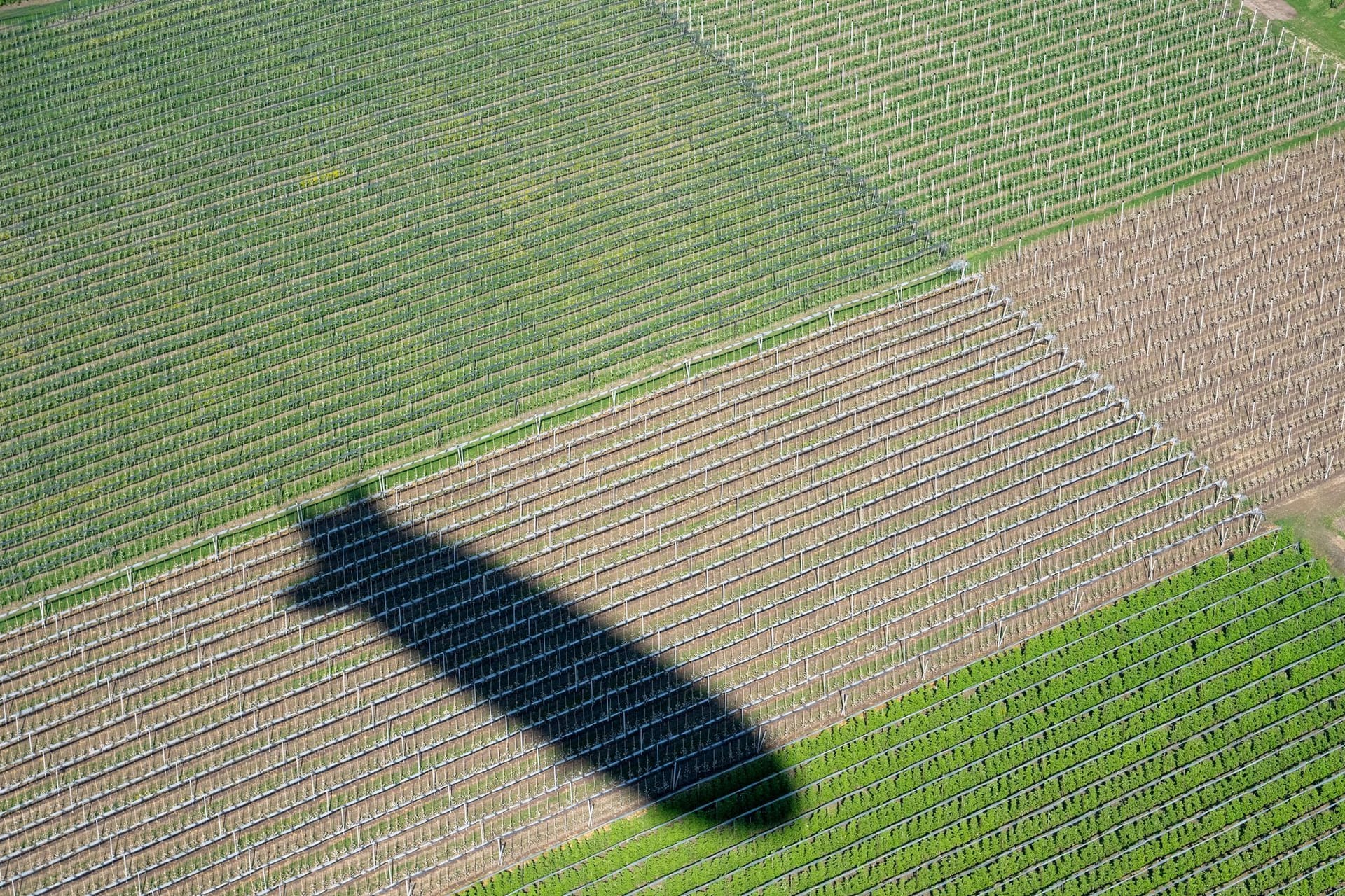 Neuer Zeppelin NT