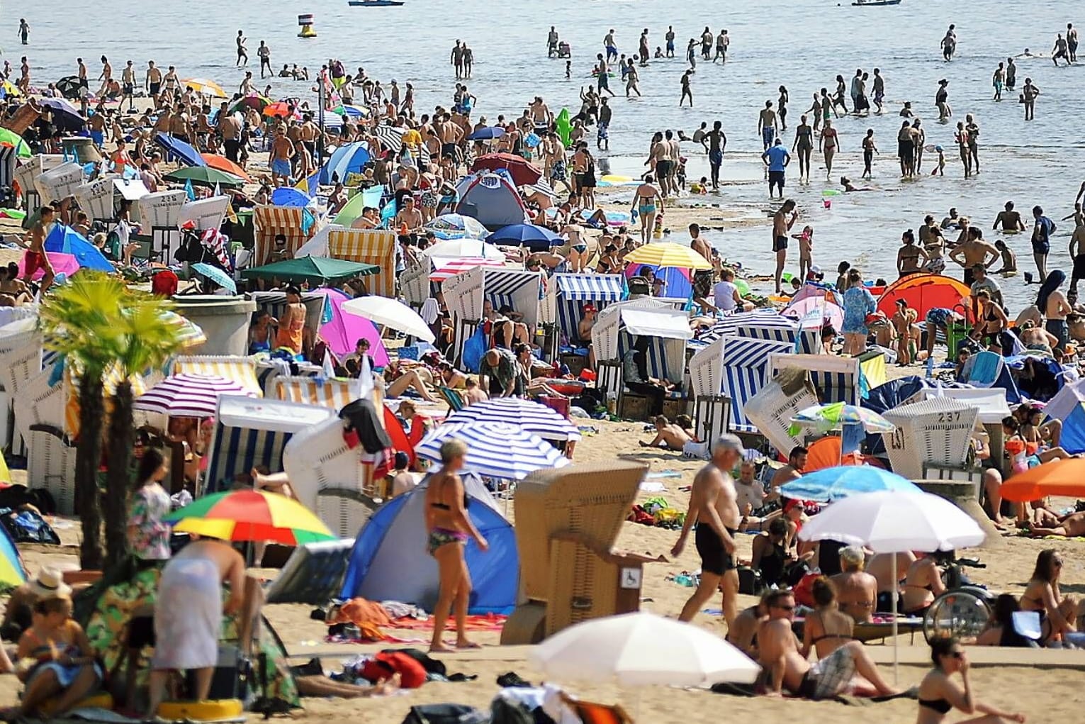 Berliner verbringen einen Sommertag am Wannsee (Archivbild): Am Wochenende steigen die Temperaturen auf bis zu 35 Grad an.