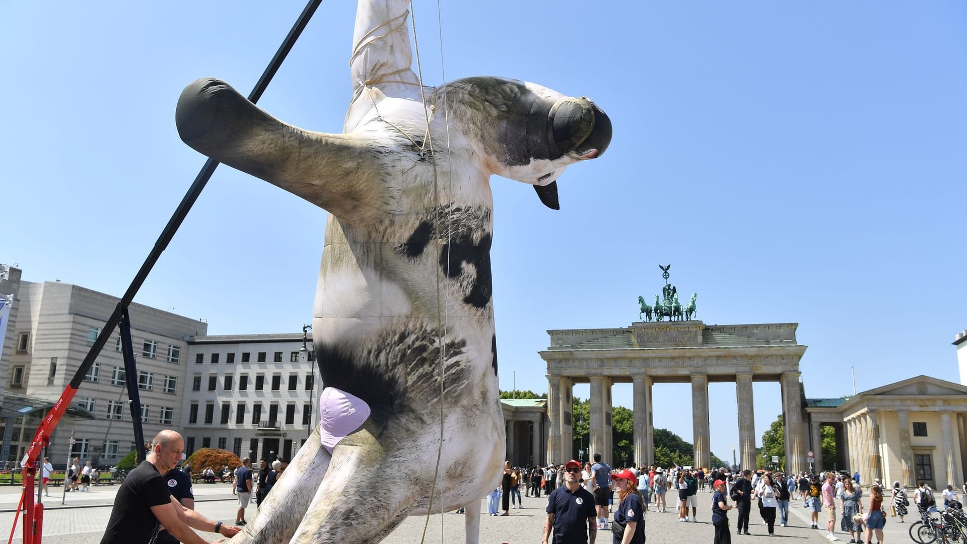 Protest am internationalen Tag gegen Tiertransporte
