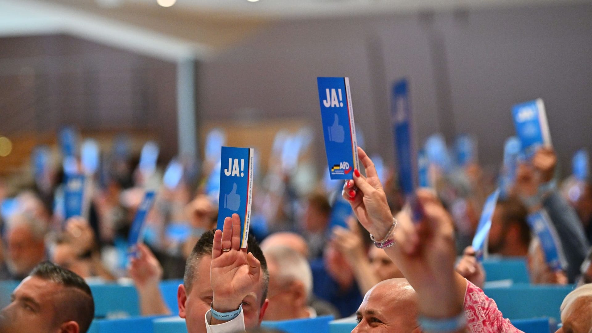 Landeswahlversammlung der AfD in Baden-Württemberg