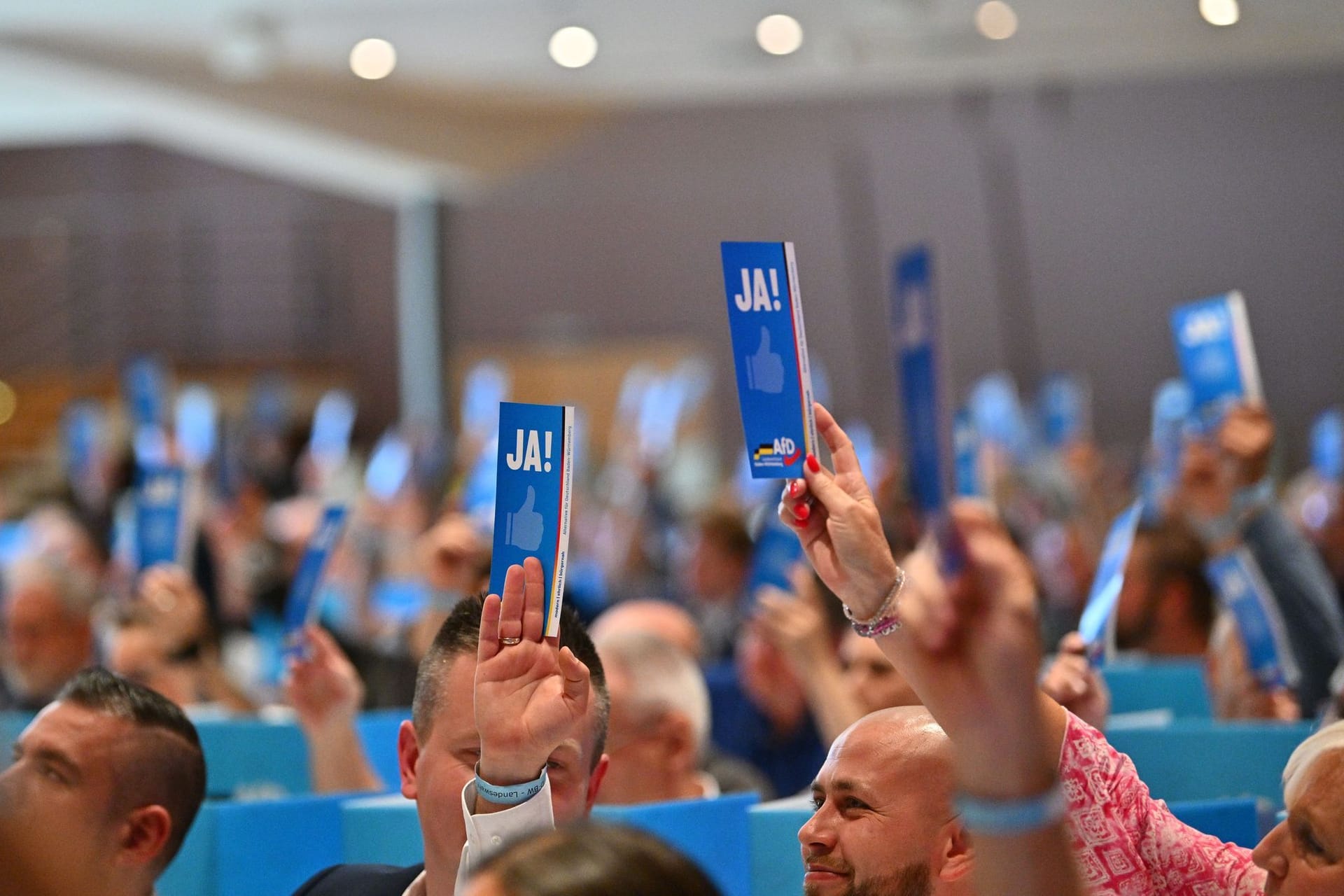 Landeswahlversammlung der AfD in Baden-Württemberg