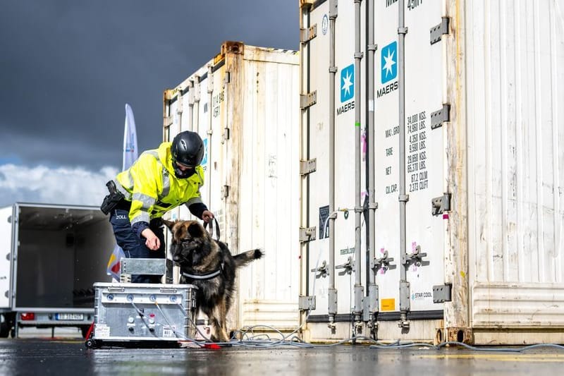 Ein Rauschgiftspürhund des Zolls im Hafen: Mehr als 400 Kilo Kokain wurden sichergestellt.