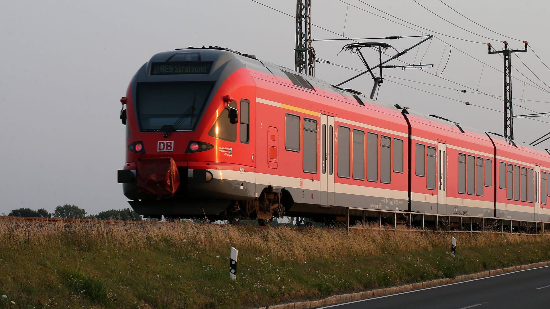 Regionalzug nach Stralsund: Ungewöhnliche Begegnung auf Rügens Gleisen sorgt für Aufsehen. Regionalzug nach Stralsund: Ungewöhnliche Begegnung auf Rügens Gleisen sorgt für Aufsehen.