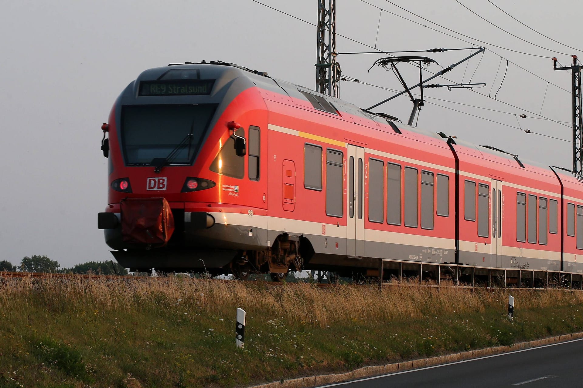 Regionalzug nach Stralsund: Ungewöhnliche Begegnung auf Rügens Gleisen sorgt für Aufsehen.