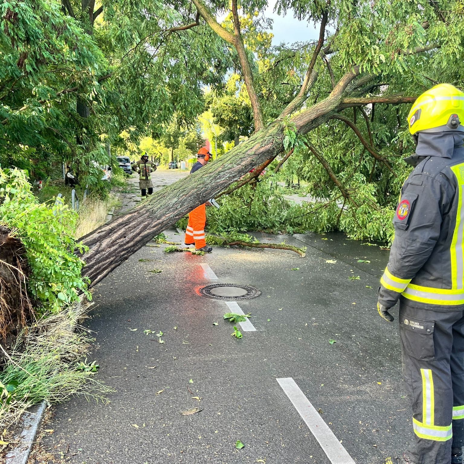 Gewitter in Berlin und Brandenburg