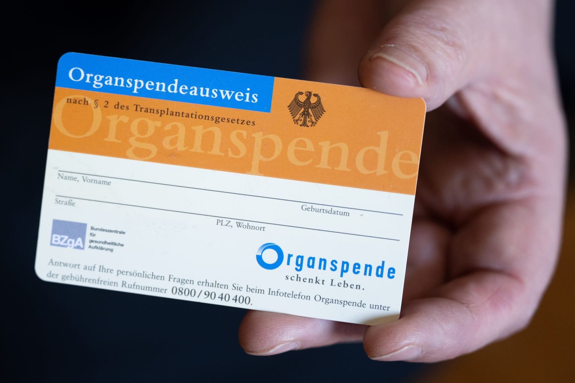 Eine Frau hält einen Organspendeausweis in ihren Händen