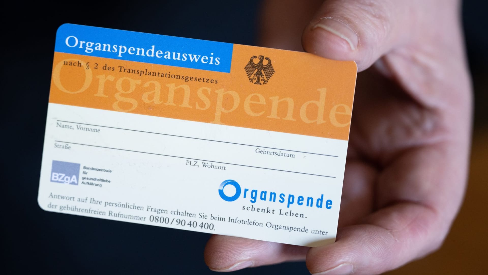 Eine Frau hält einen Organspendeausweis in ihren Händen Eine Frau hält einen Organspendeausweis in ihren Händen