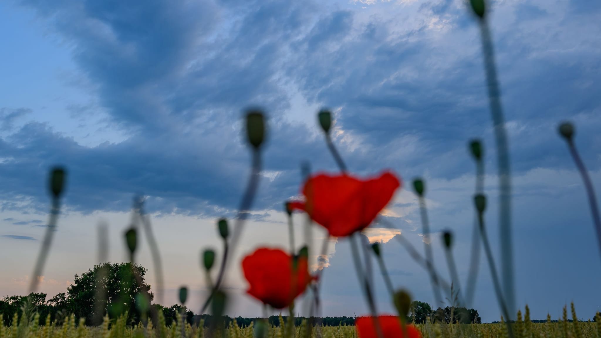 Gewitter über Berlin und Brandenburg