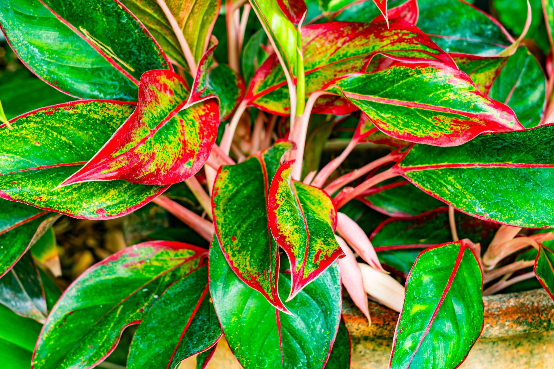 imago images 0755042755
