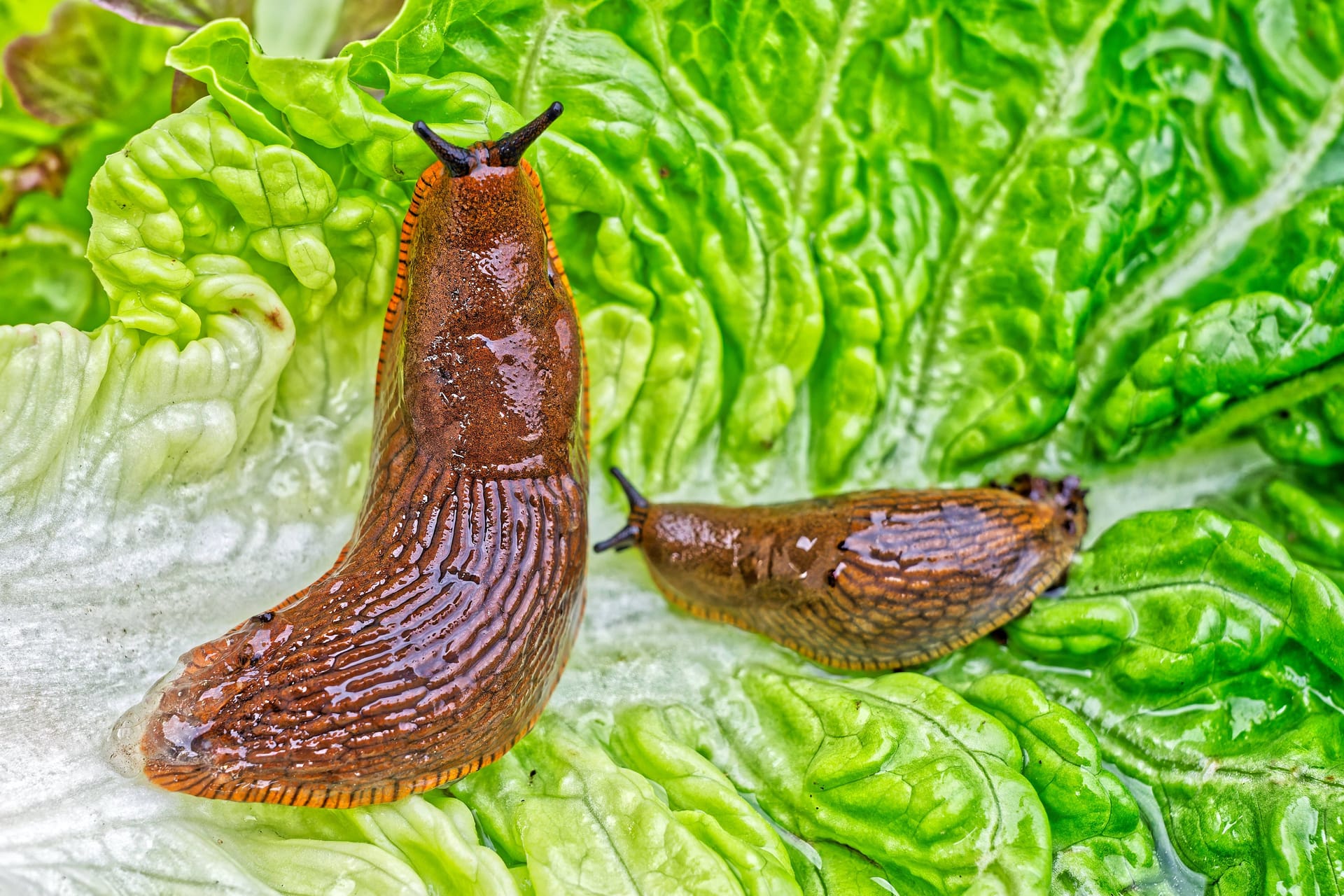 imago images 0820916749