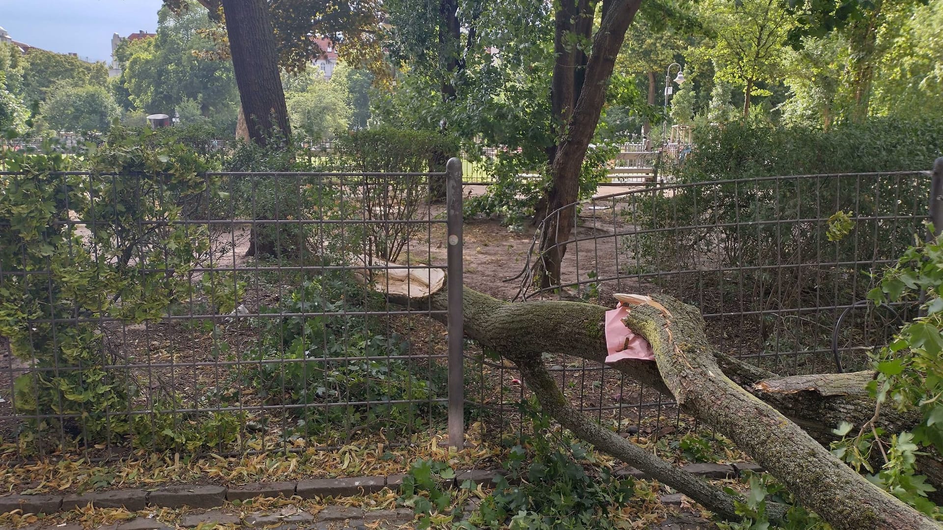 Berlin-Friedrichshain: Ein wegen des Sturms umgestürzter Baum liegt am Boxhagener Platz auf einem Gehweg.
