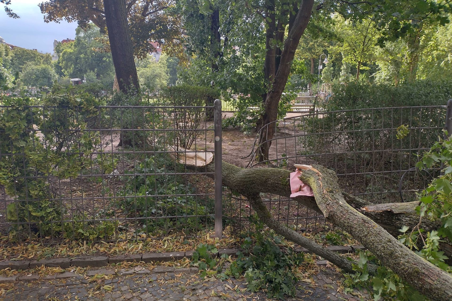 Berlin-Friedrichshain: Ein wegen des Sturms umgestürzter Baum liegt am Boxhagener Platz auf einem Gehweg.