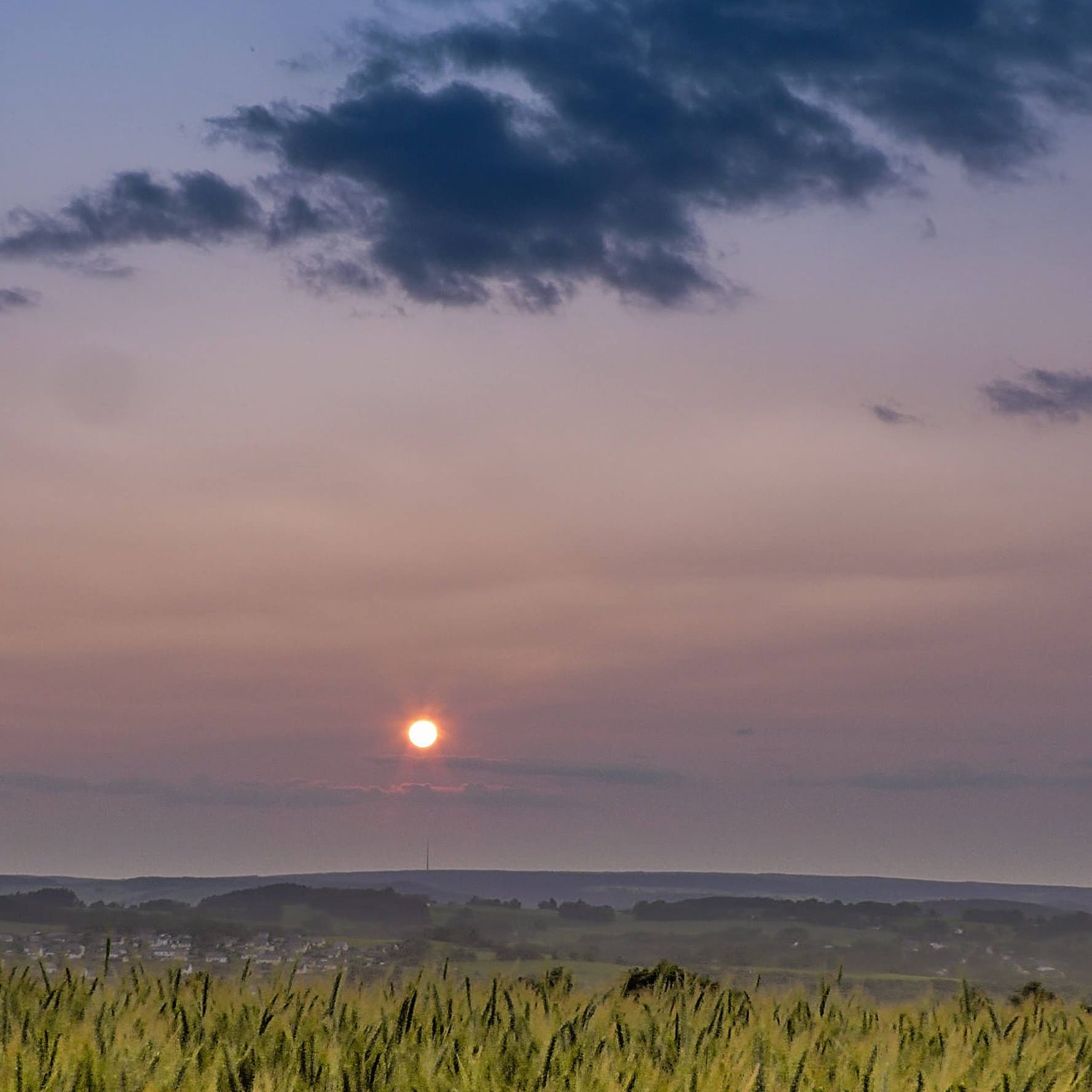 Eine milchige Schicht trübt den Blick auf den Himmel in Deutschland: Grund sind Waldbrände in Kanada.