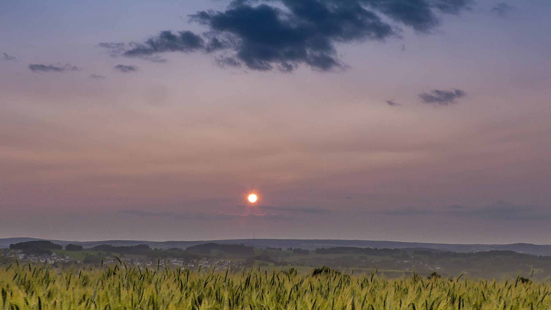 Eine milchige Schicht trübt den Blick auf den Himmel in Deutschland: Grund sind Waldbrände in Kanada. Eine milchige Schicht trübt den Blick auf den Himmel in Deutschland: Grund sind Waldbrände in Kanada.