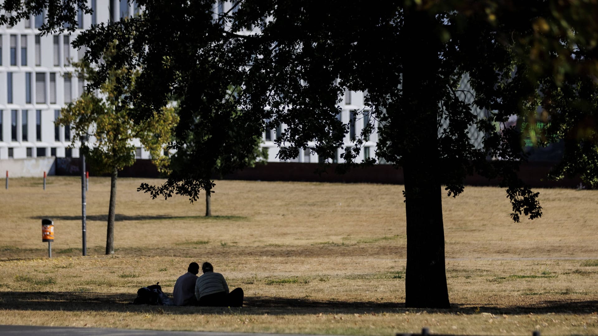 Vertrocknete Wiese im Spreebogenpark in Berlin (Archivbild): Am Mittwoch sollen fast 40 Grad in der Stadt erreicht werden. Vertrocknete Wiese im Spreebogenpark in Berlin (Archivbild): Am Mittwoch sollen fast 40 Grad in der Stadt erreicht werden.