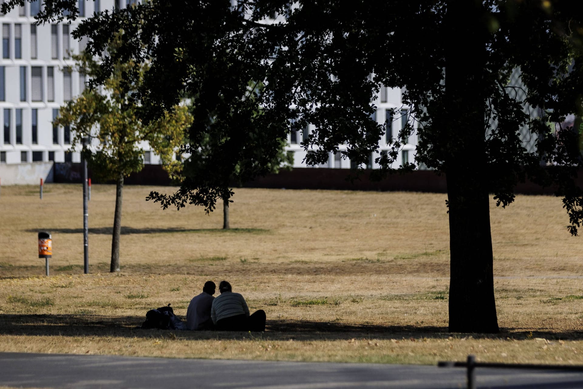 Vertrocknete Wiese im Spreebogenpark in Berlin (Archivbild): Am Mittwoch sollen fast 40 Grad in der Stadt erreicht werden.