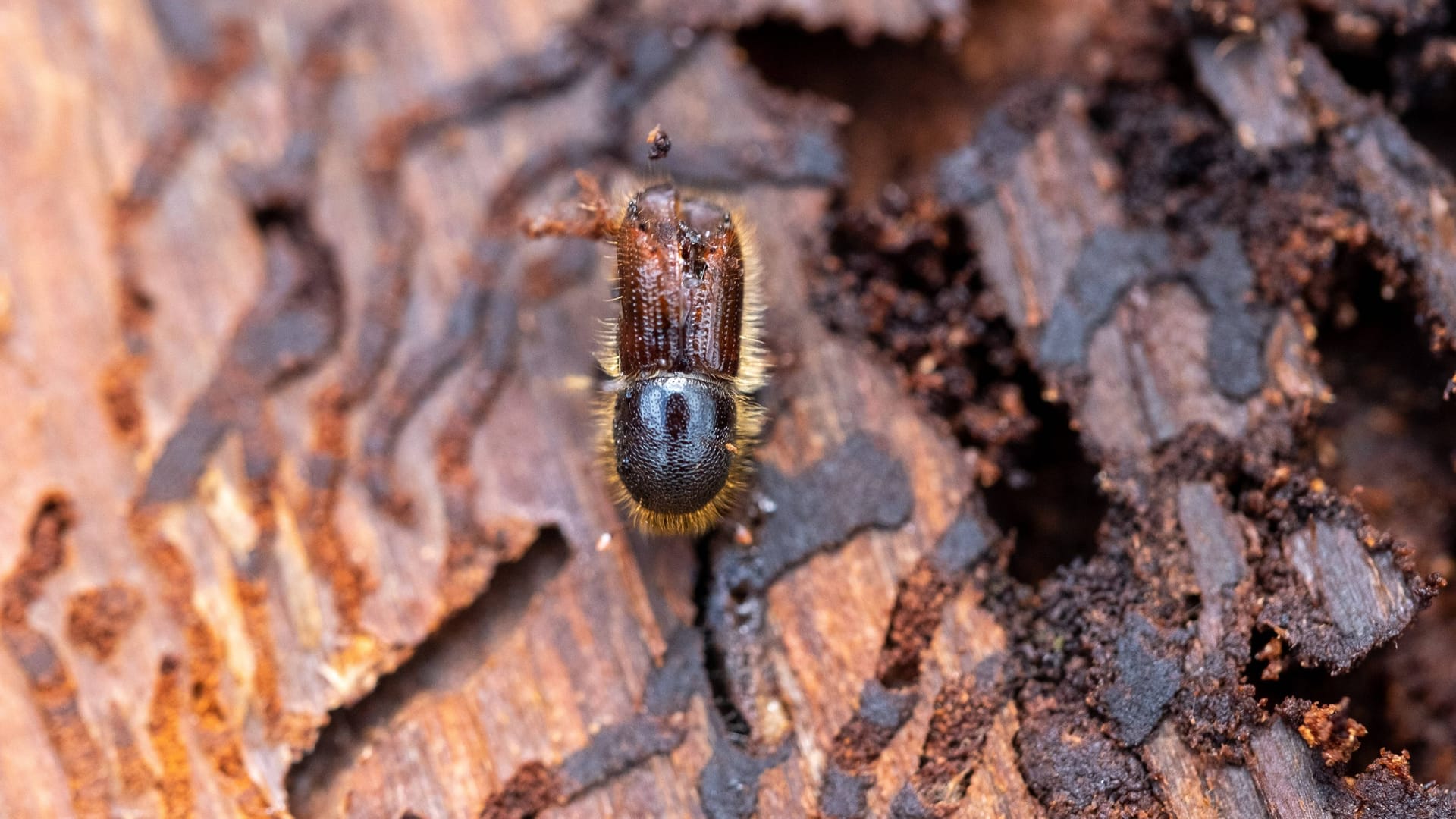 imago images 114989697