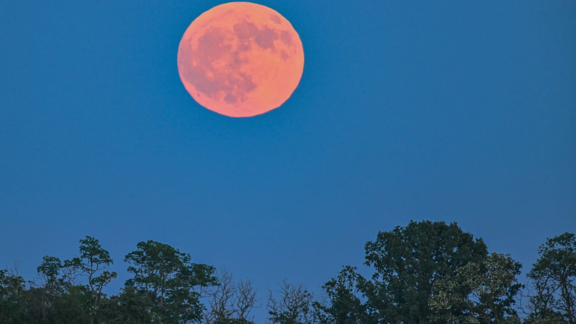 Erdbeermond