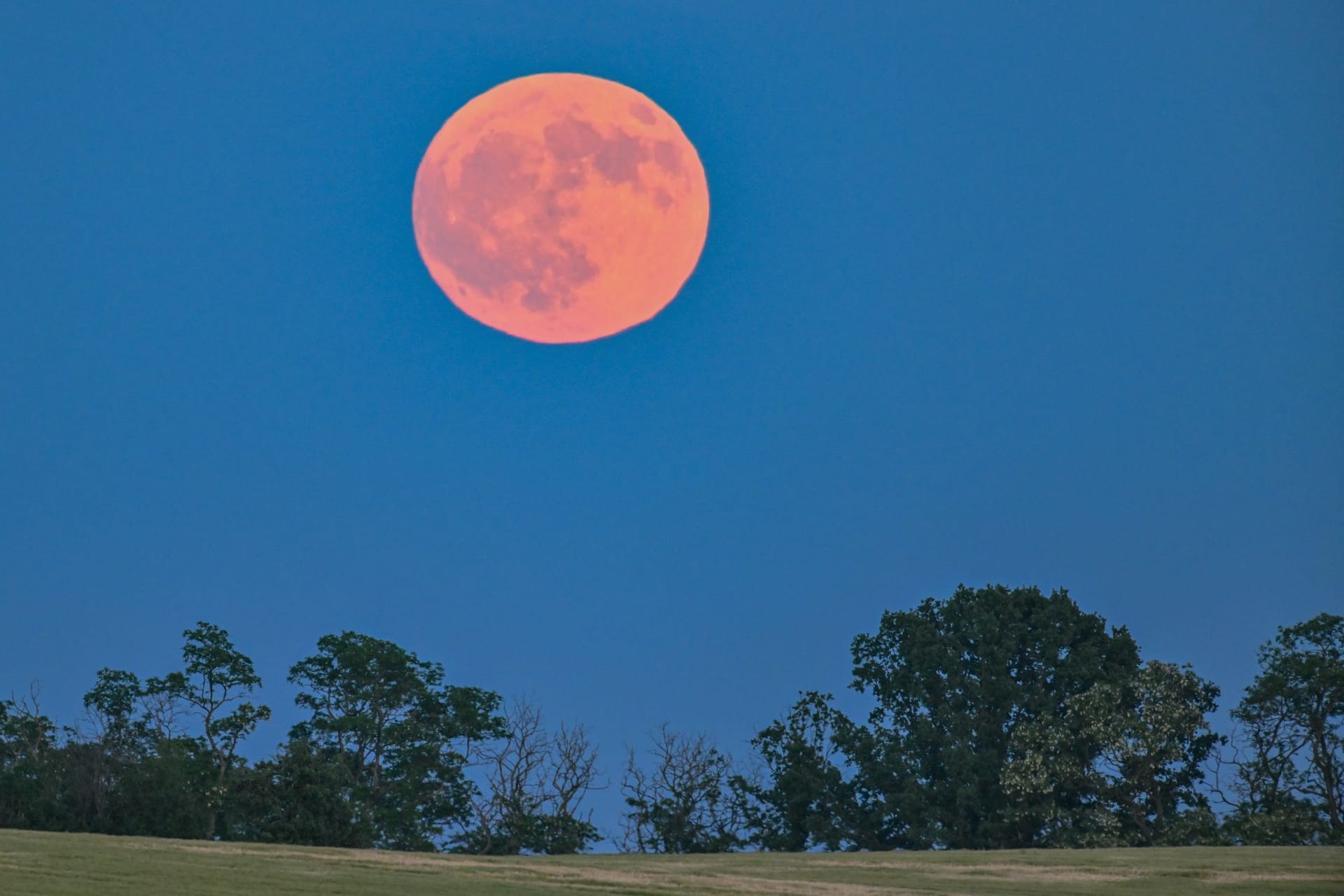 Erdbeermond