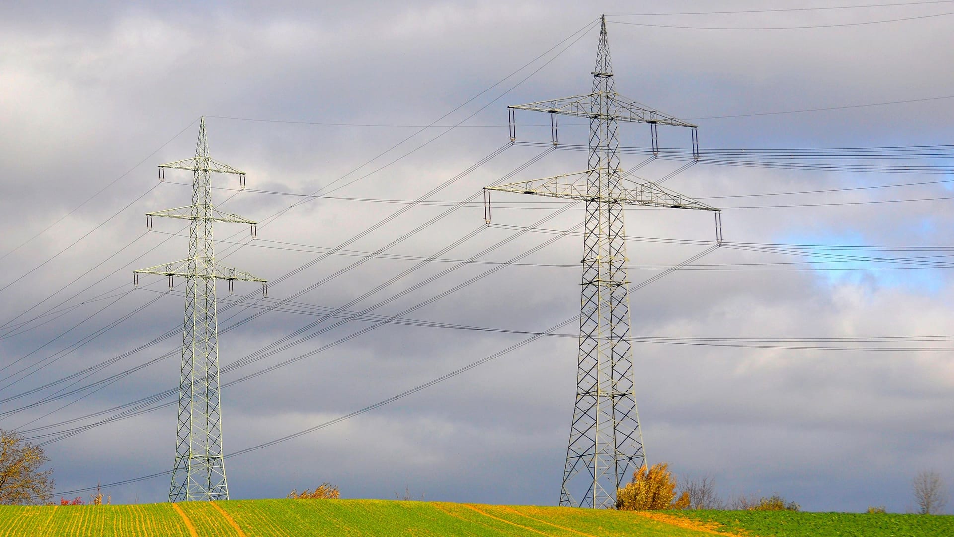 Elektrischer Überlandmast im Feld (Symbolbild): In Braunschweig unterbrach ein umgestürzter Baum die Stromversorgung. Elektrischer Überlandmast im Feld (Symbolbild): In Braunschweig unterbrach ein umgestürzter Baum die Stromversorgung.