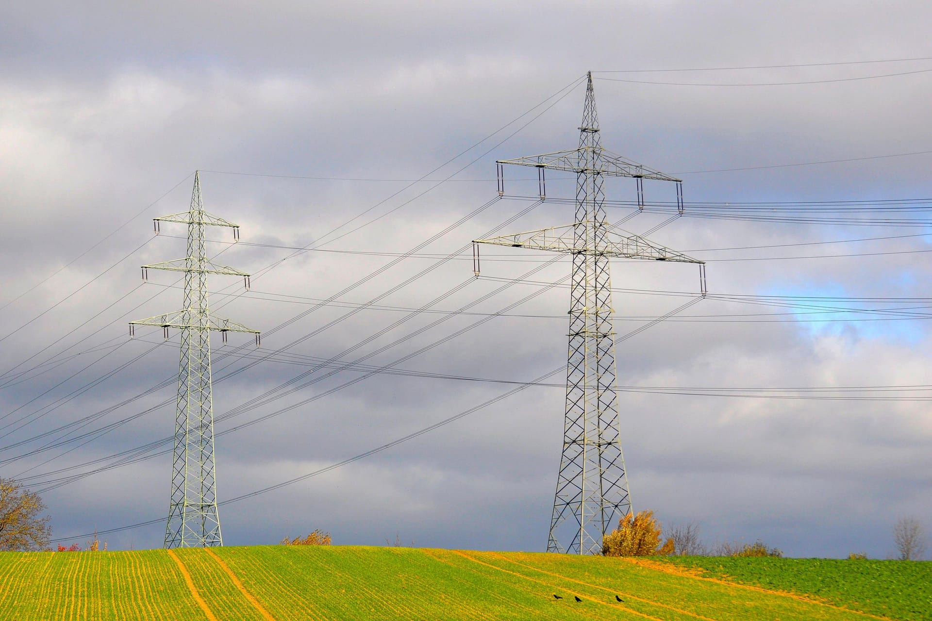 Elektrischer Überlandmast im Feld (Symbolbild): In Braunschweig unterbrach ein umgestürzter Baum die Stromversorgung.