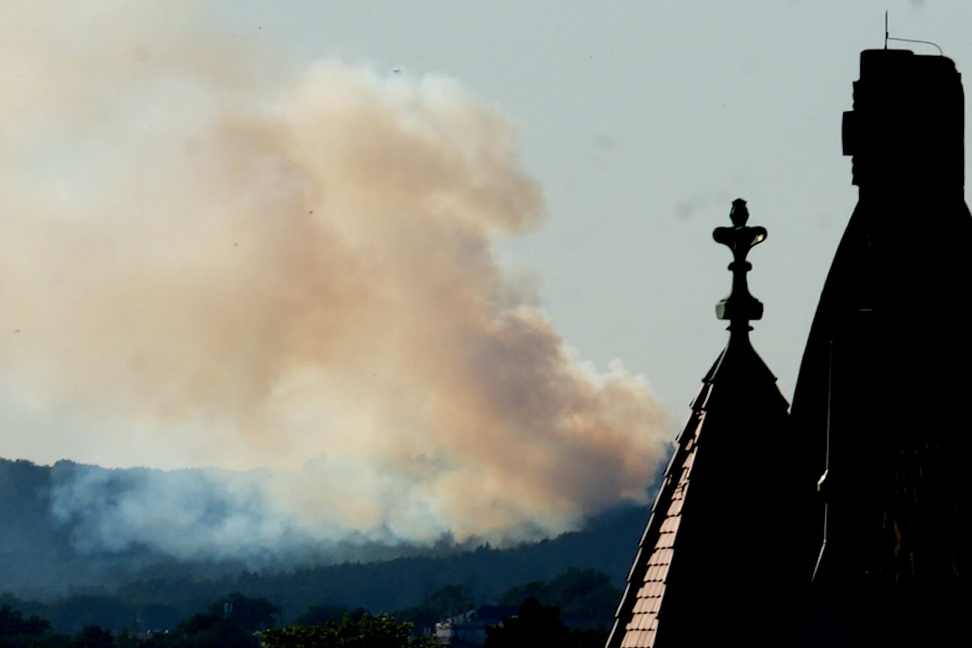 Waldbrand bei Dresden: Die Feuerwehr ist wegen des Brandes am Montagabend im Einsatz.