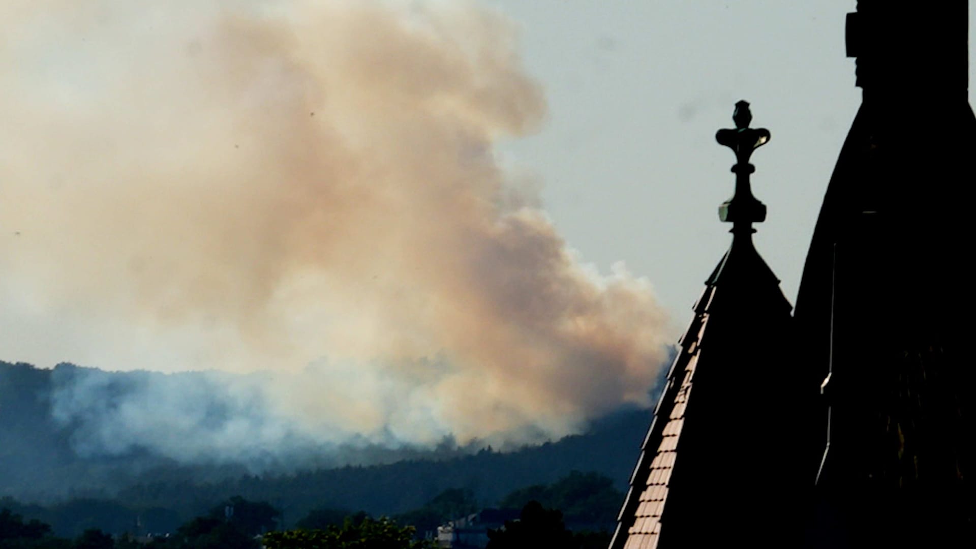 Waldbrand bei Dresden: Die Feuerwehr ist wegen des Brandes am Montagabend im Einsatz.