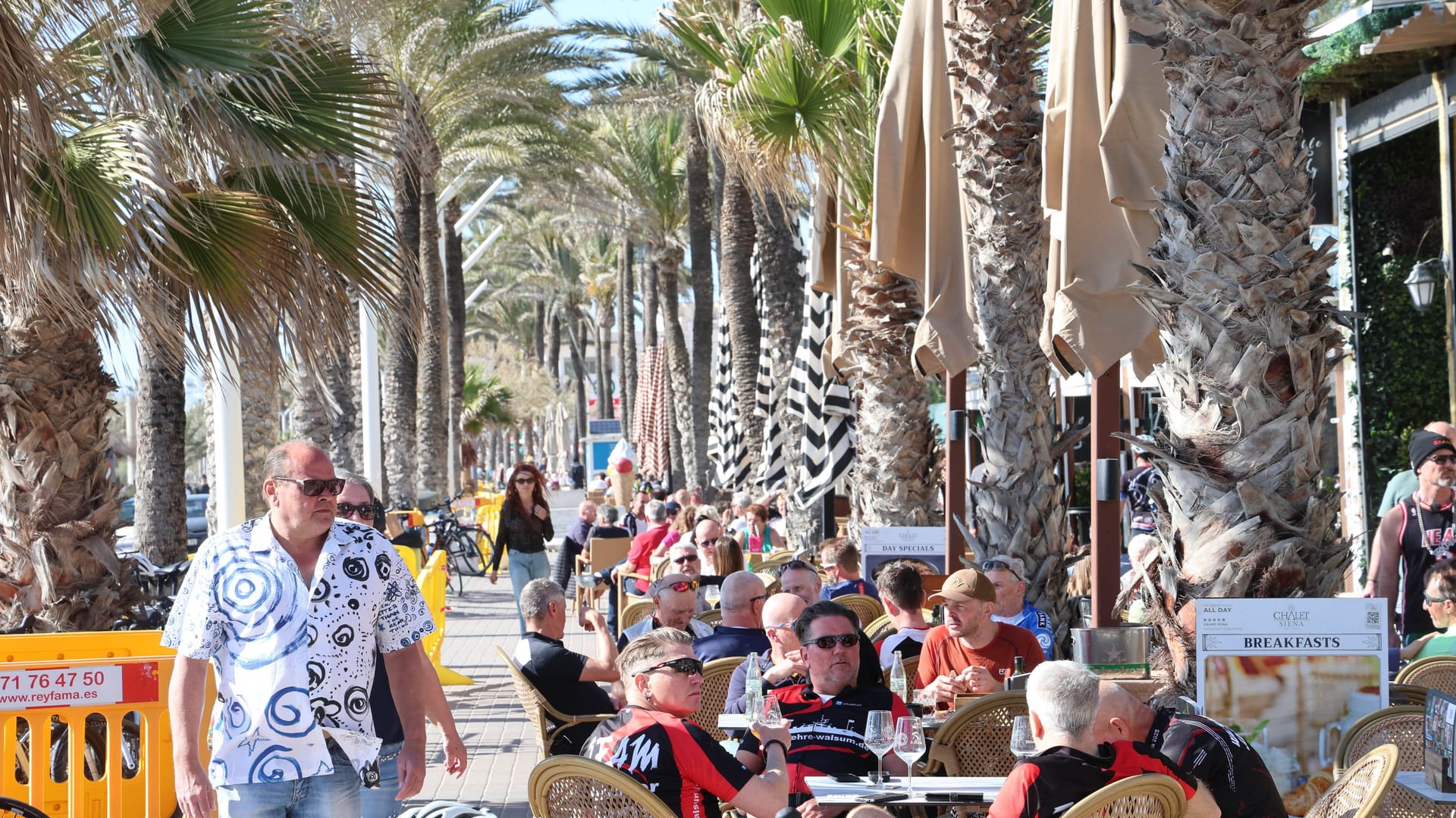El Arenal, Mallorca: Schauplatz friedlicher Urlaubsidylle wird zum Austragungsort einer Clanfehde.