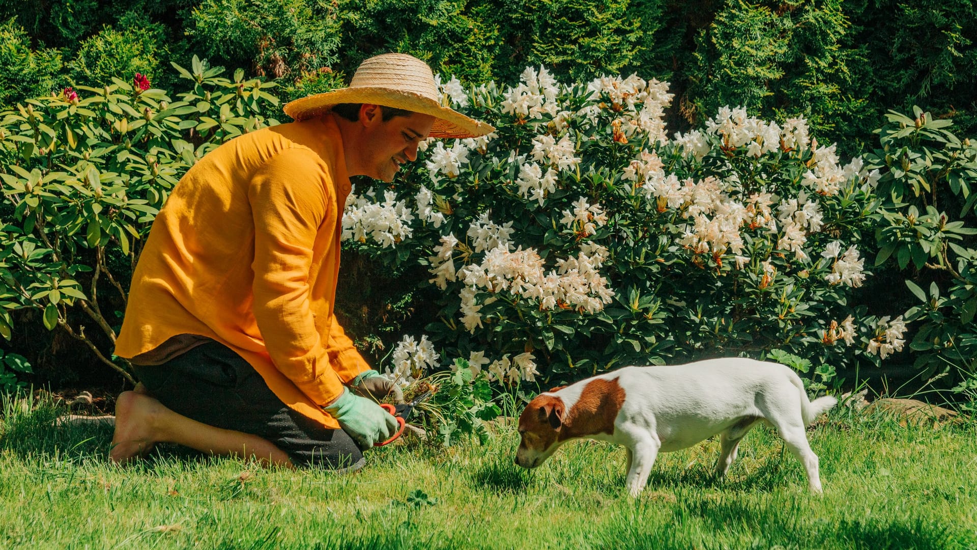 Ein Mann mit seinem Jack Russel im heimischen Garten (Symbolfoto): Eine Bremer Verordnung sieht hohe Bußgelder für Hundebesitzer vor.