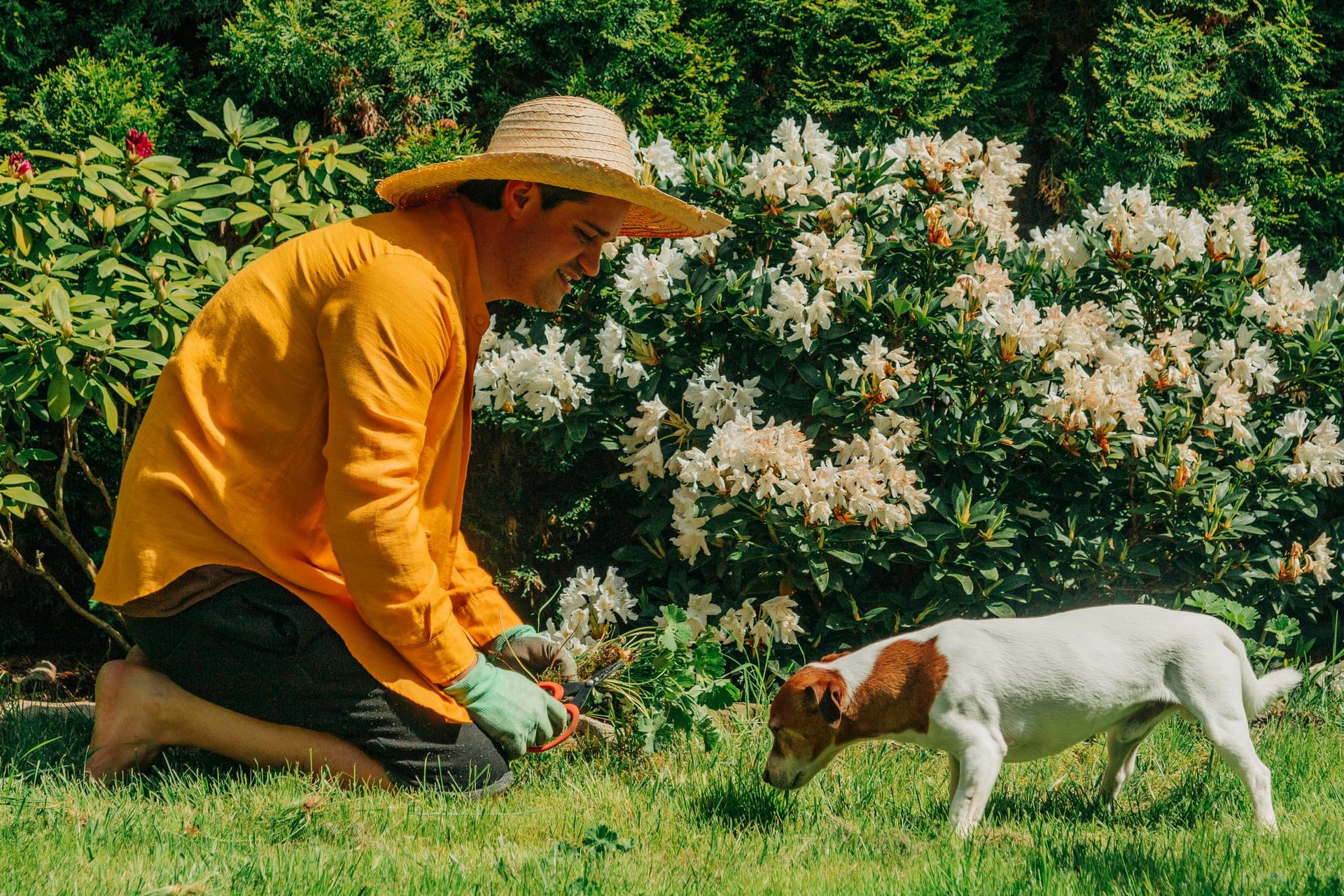 Ein Mann mit seinem Jack Russel im heimischen Garten (Symbolfoto): Eine Bremer Verordnung sieht hohe Bußgelder für Hundebesitzer vor.