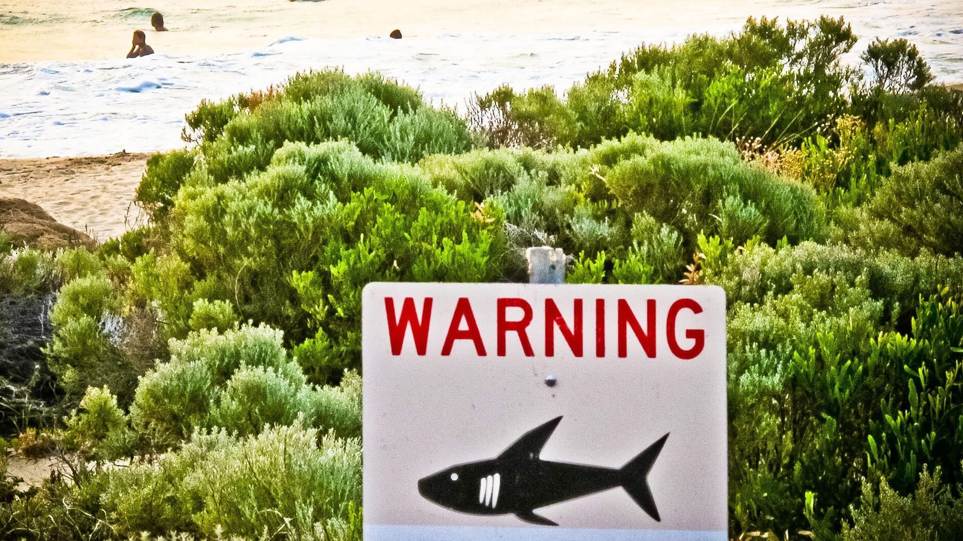 Teenager in Australien von Hai attackiert Teenager in Australien von Hai attackiert