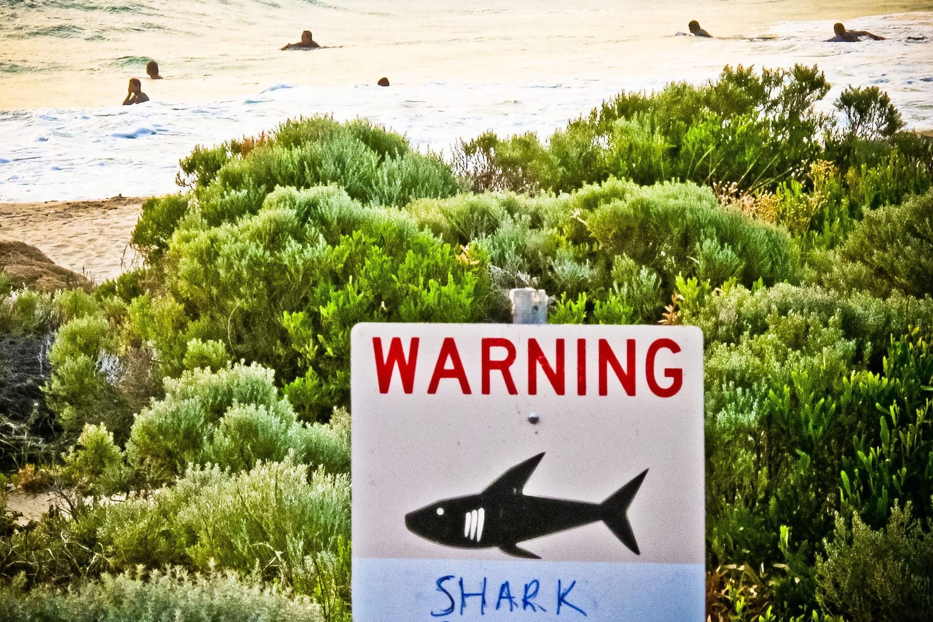 Teenager in Australien von Hai attackiert