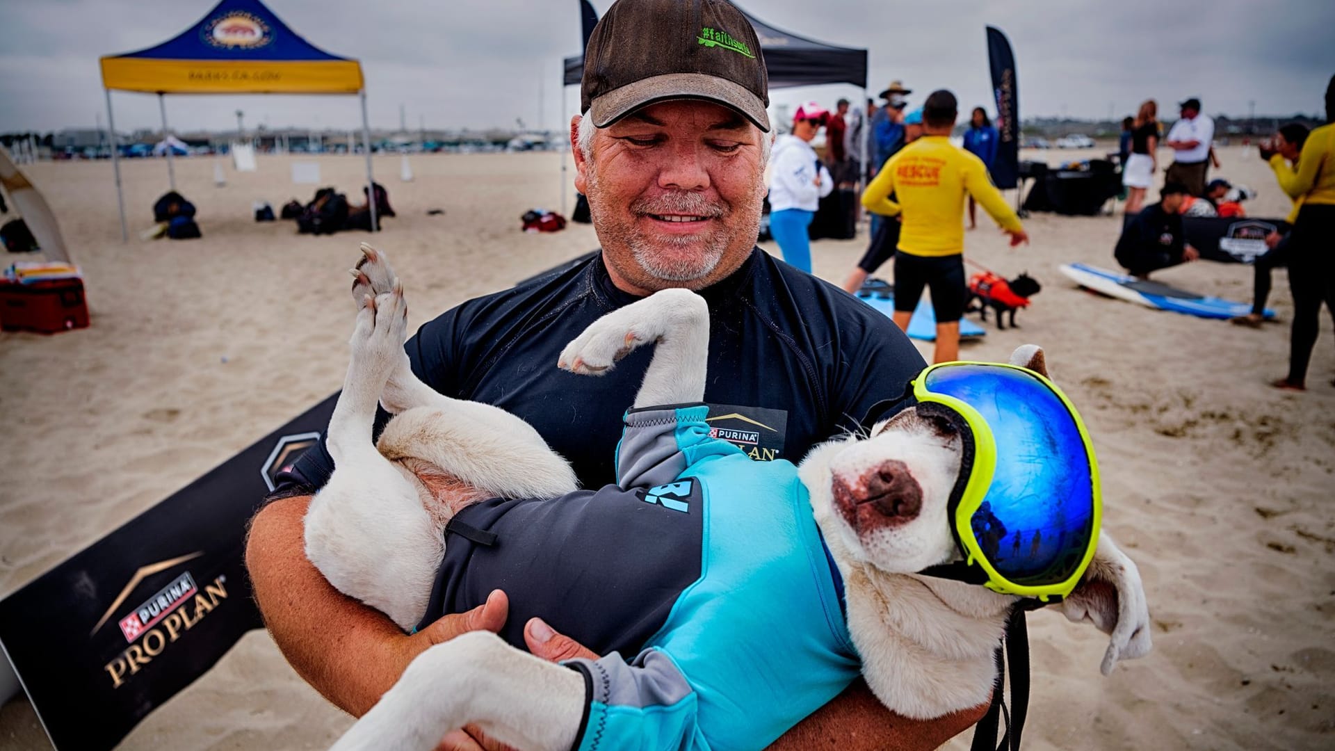«Incredible Dog Challenge» - Surfmeisterschaft für Hunde