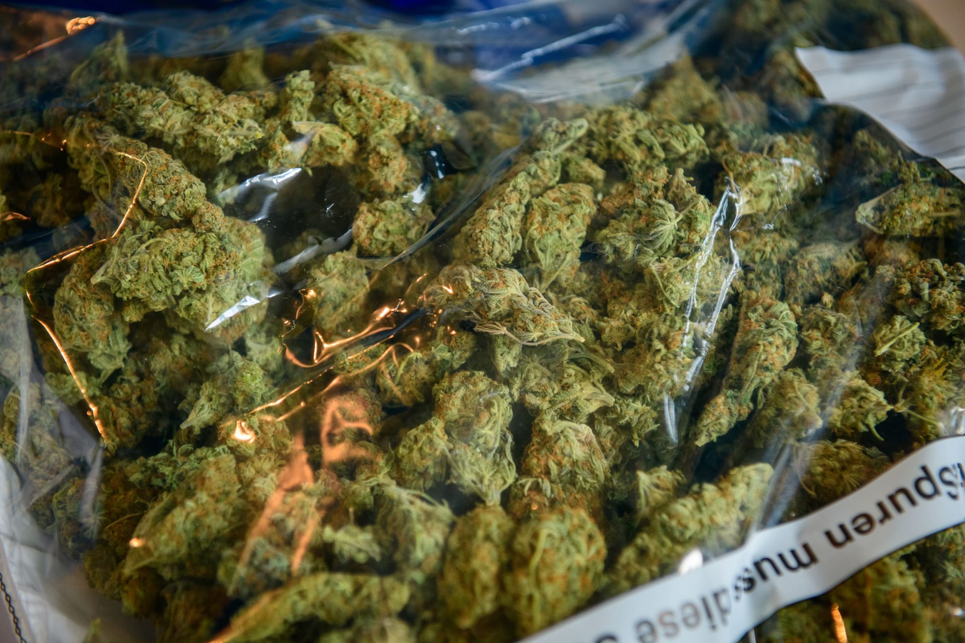 Ein größerer Marihuana-Fund (Symbolbild): Ein größerer Marihuana-Fund (Symbolbild):