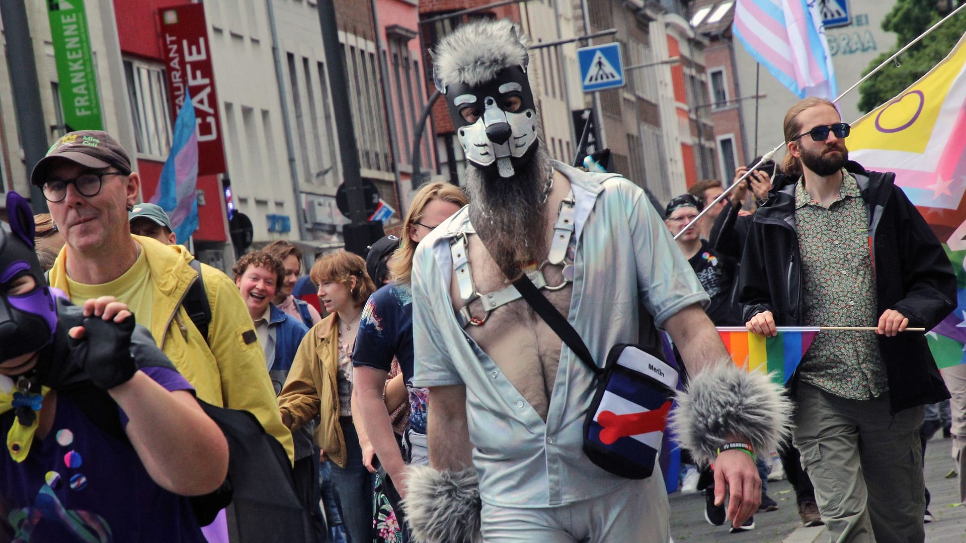 "Pup Merlin" ist als Hund verkleidet: Ihn schockieren die Wahlergebnisse der AfD.