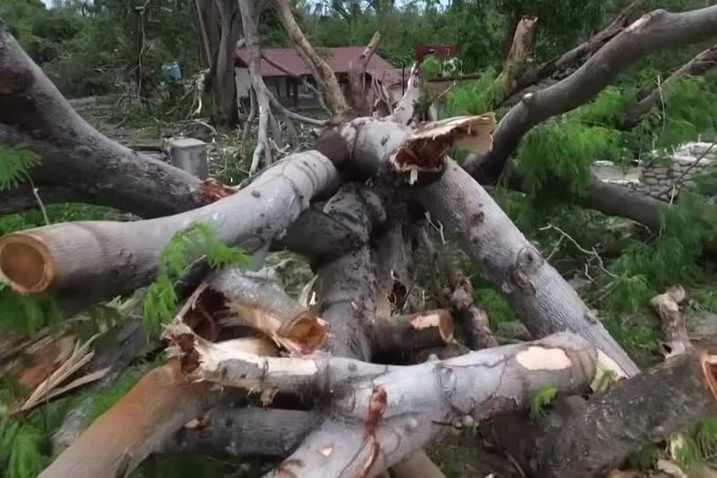 STURM-MEXIKO/ STURM-MEXIKO/