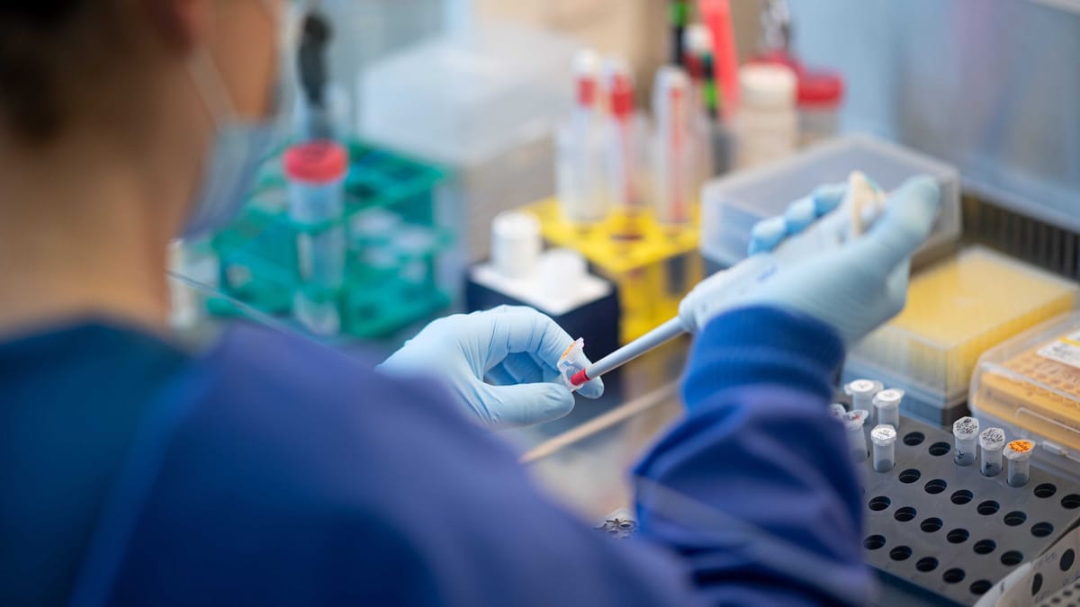 WHO-Rat: China mauert - Ursprung des Coronavirus unklar